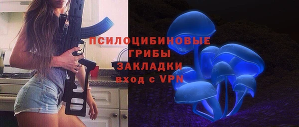 прущий лед Богородск