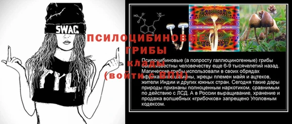 прущий лед Богородск